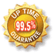 Site Uptime Monitoring